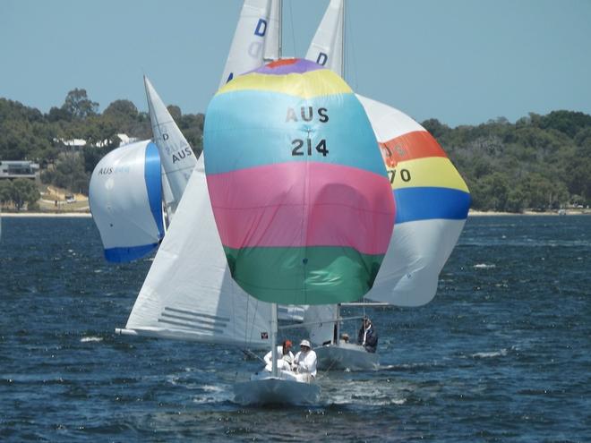 Willy Packer 'Scoundrel' - WA Dragon State Championships 2014 at Royal Freshwater Bay YC in Perth. © Jonny Fullerton